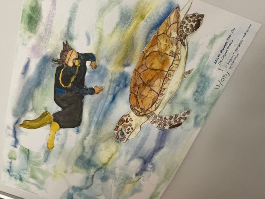 Marinos Shines in CVAR's Seascape Drawing Contest